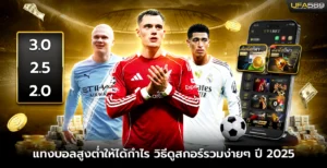 แทงบอลสูงต่ำ